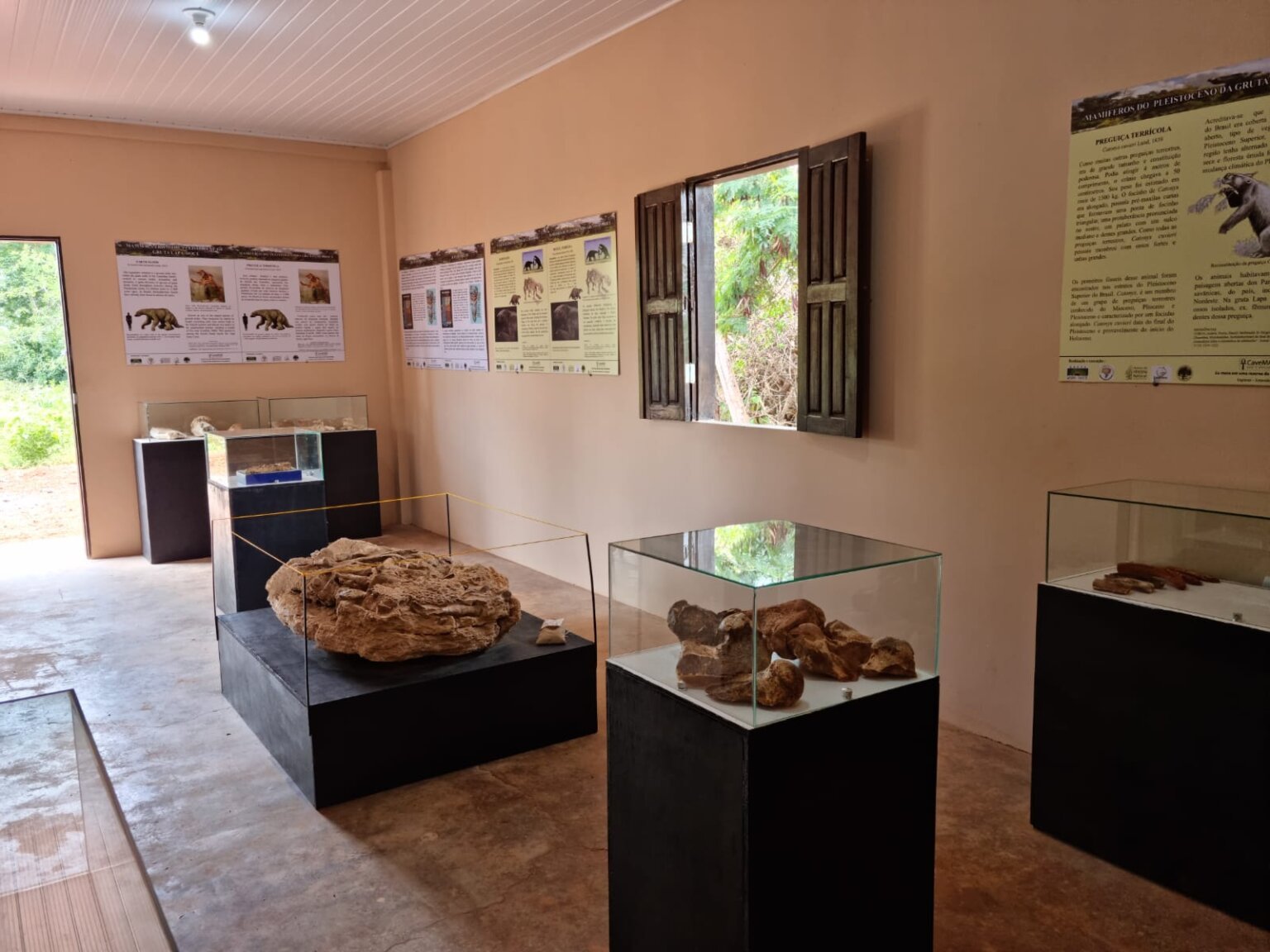 Exposição de fósseis pré históricos atrai curiosos à Chapada Diamantina